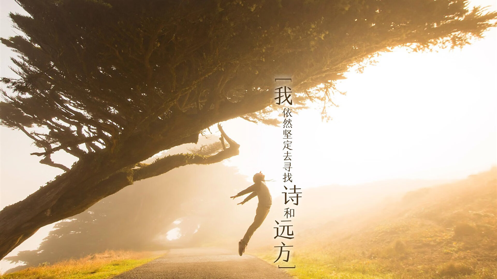 有机蔬菜产地(有机蔬菜哪里好)