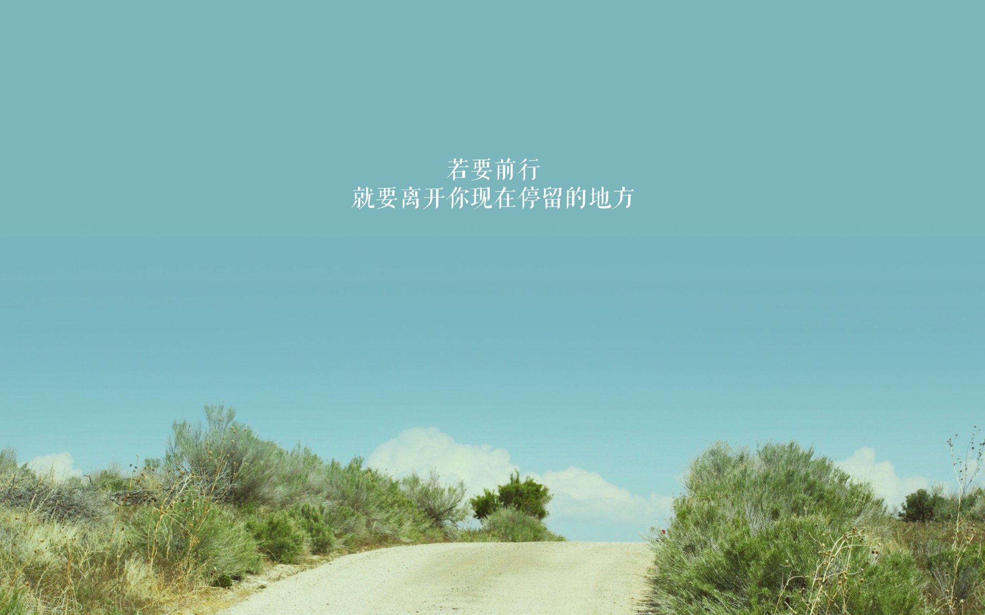 种植绿色有机蔬菜规划（有机蔬菜种植技术与管理方案）